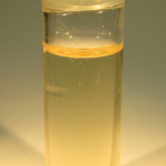 Hoyer's mounting medium is a clear, amber-colored solution